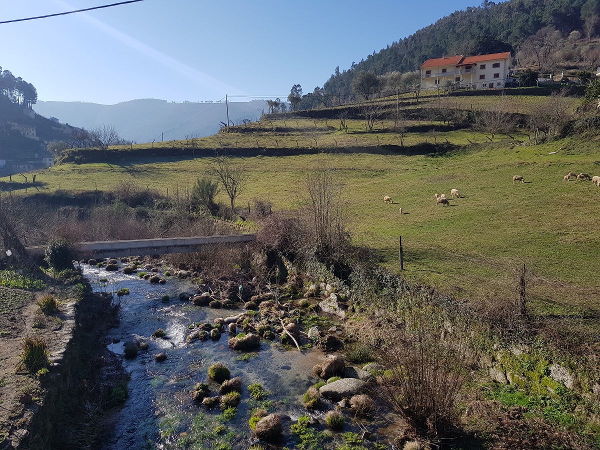 Vamos voltar à Gralheira