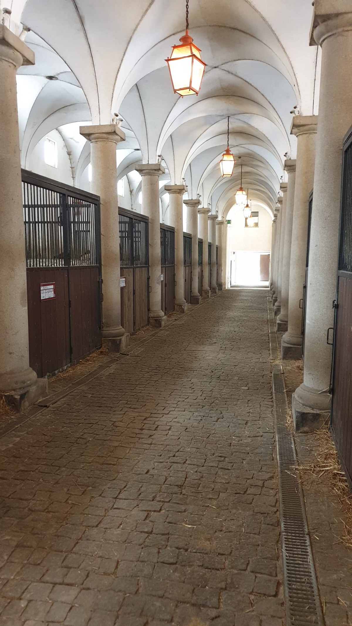20210709_Passeio_Alter_61