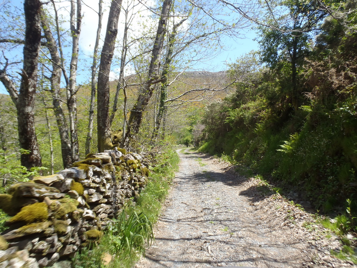 Trails de Primavera 2021 - O regresso
