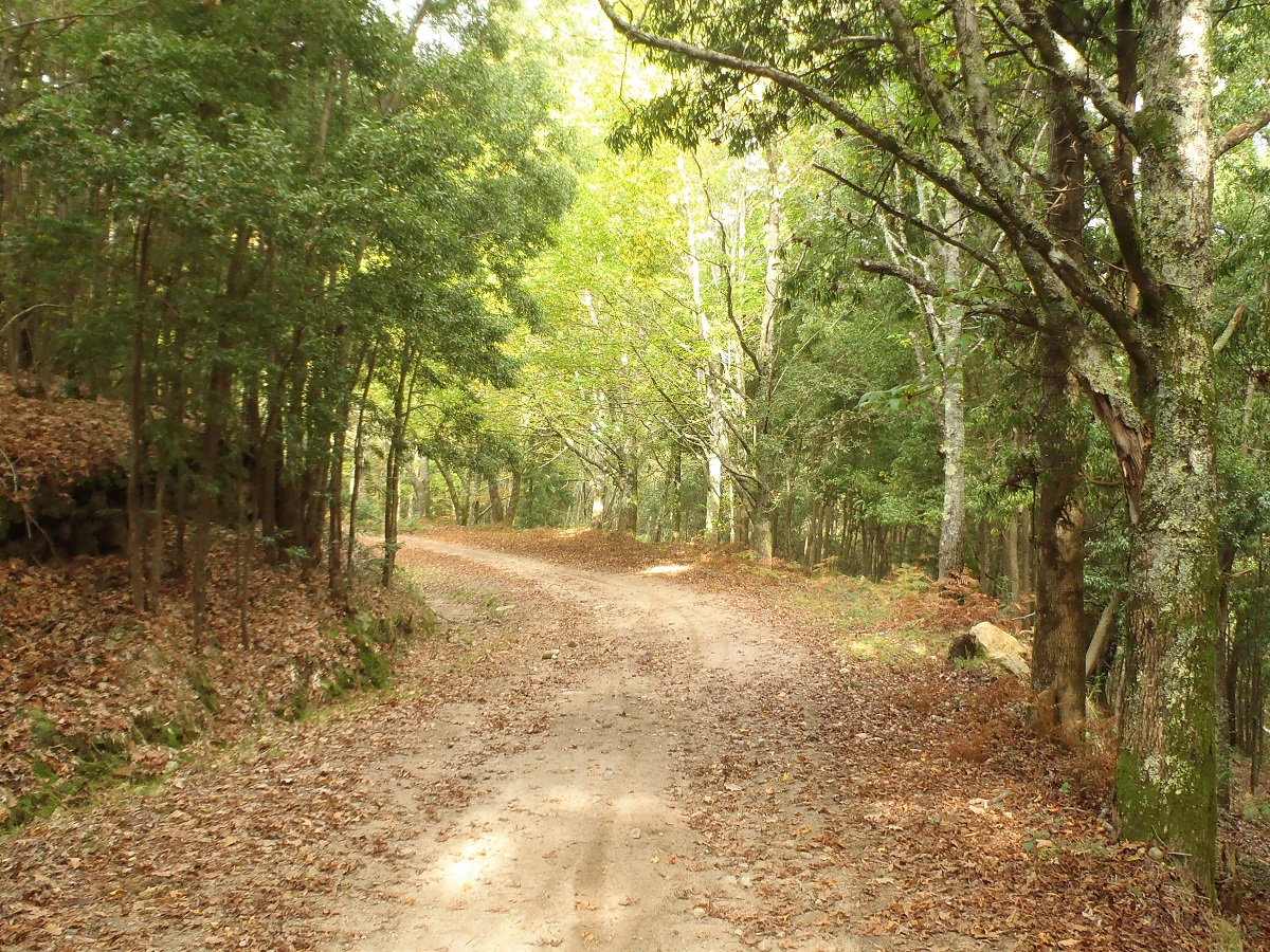 Trails de Outono 2021