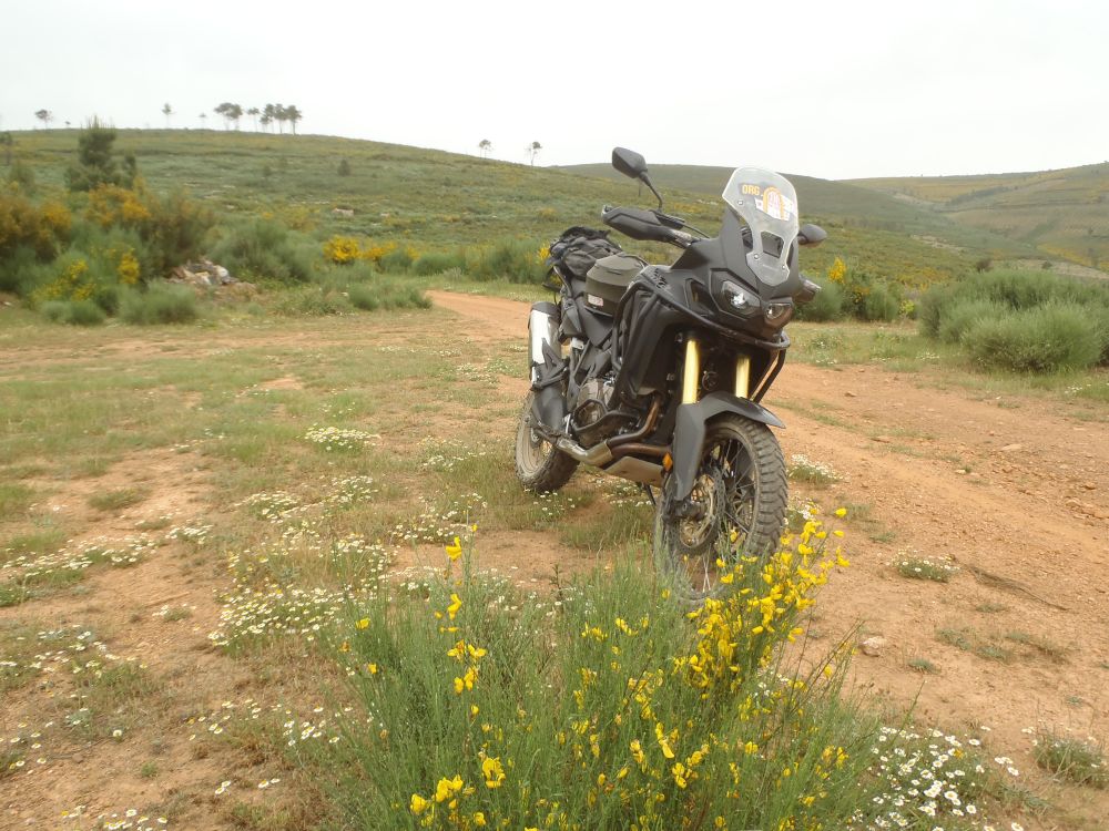 2022_05_21-22-MCP-TrailsPrimavera-014