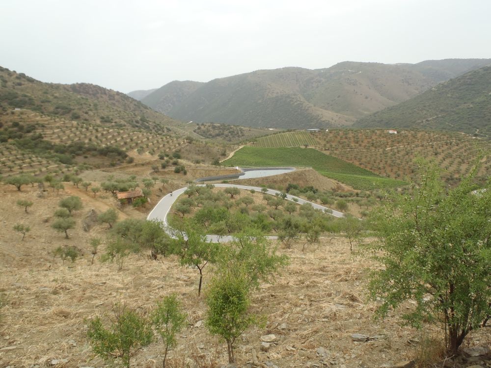 2022_05_21-22-MCP-TrailsPrimavera-045