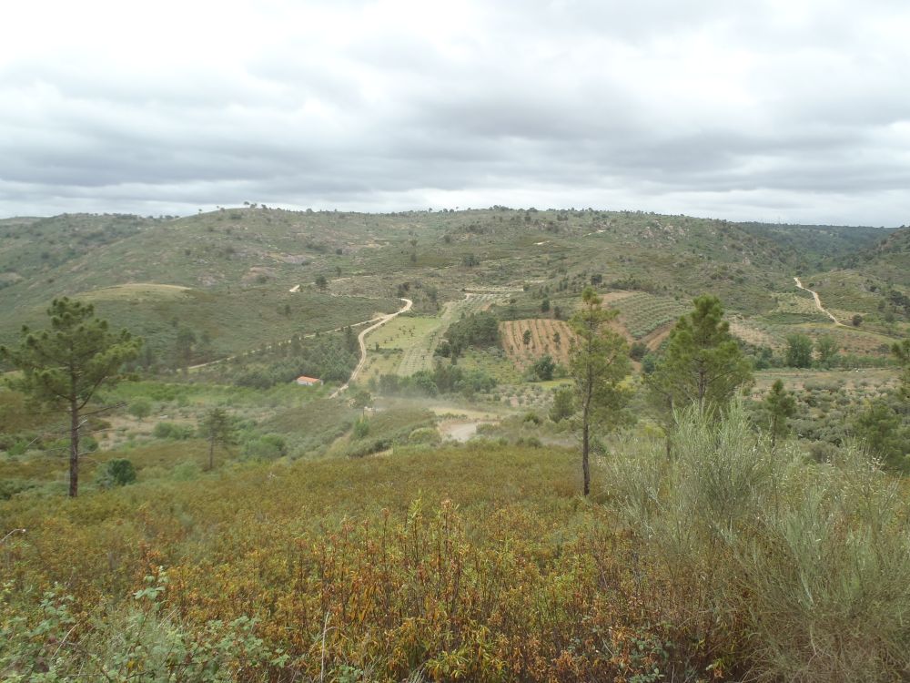 2022_05_21-22-MCP-TrailsPrimavera-158