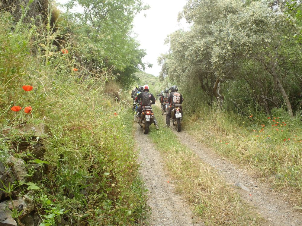 2022_05_21-22-MCP-TrailsPrimavera-191