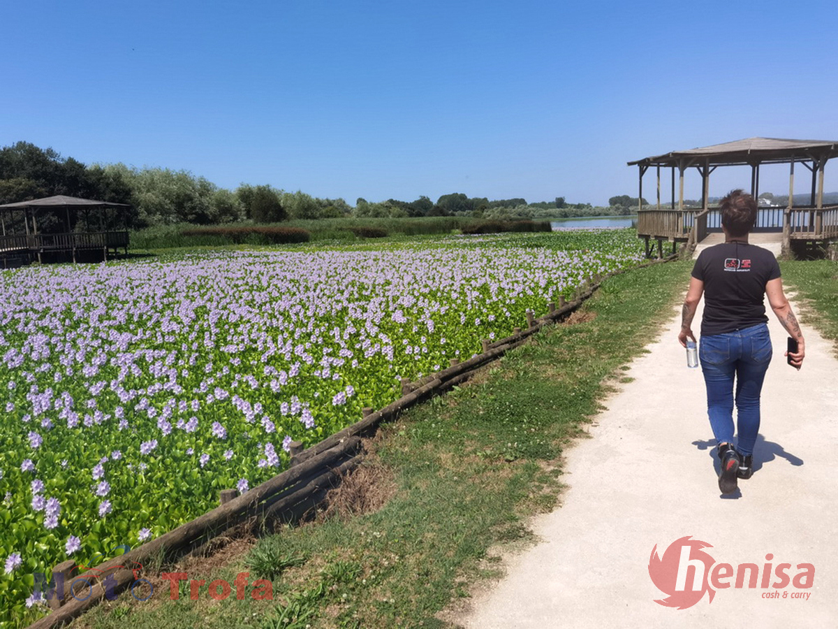 Rota_dos_Sabores_2022_27
