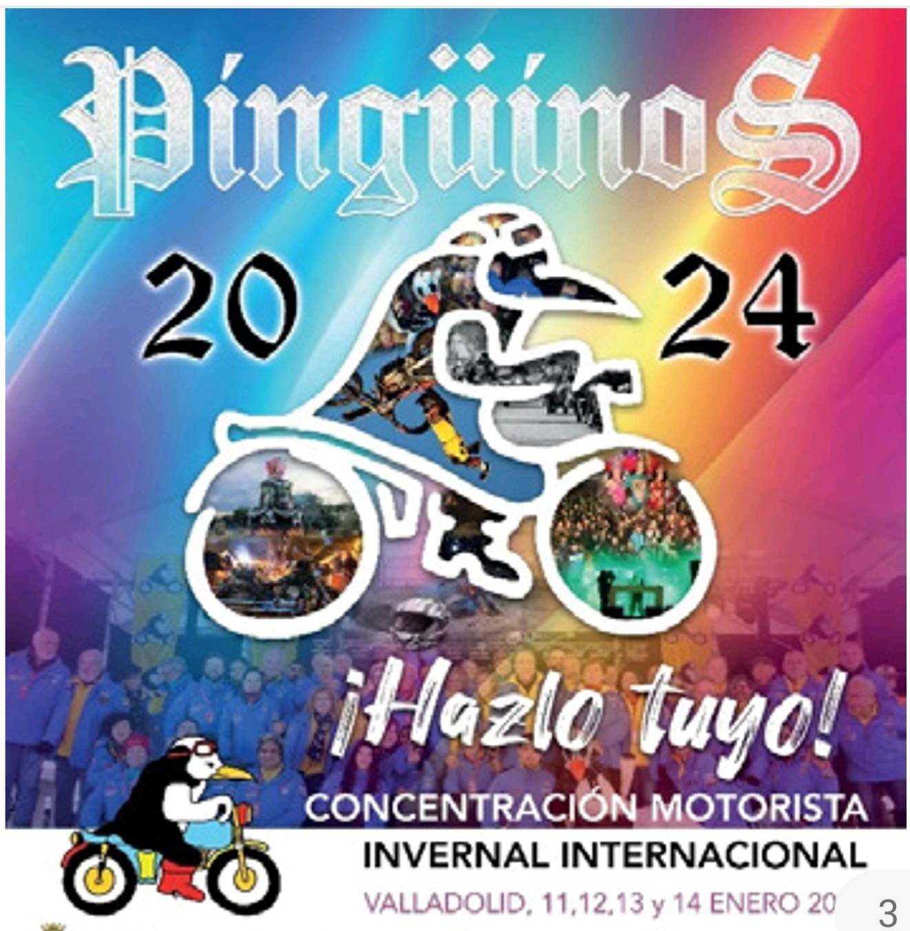 Pinguinos 2024