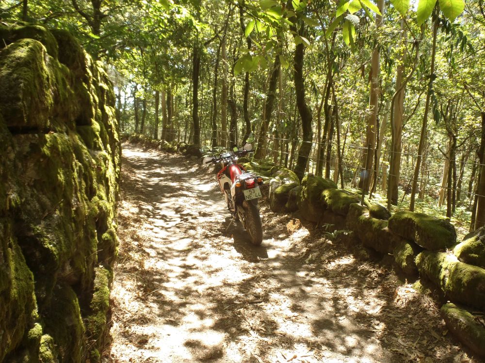 2022_08_12-MCP-ReconTrailsVerão-003