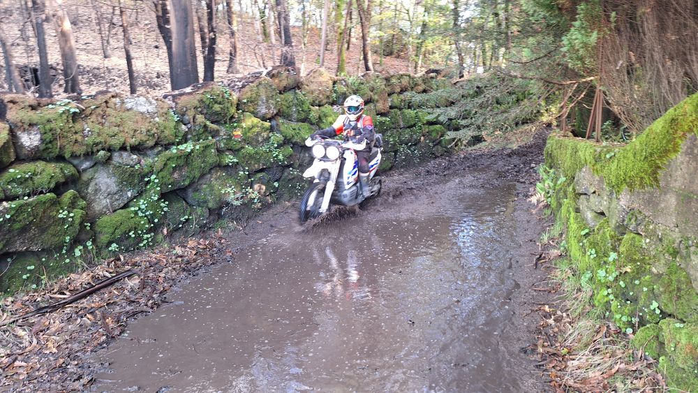 2024_10_20-MCP-TrailsVerão-049