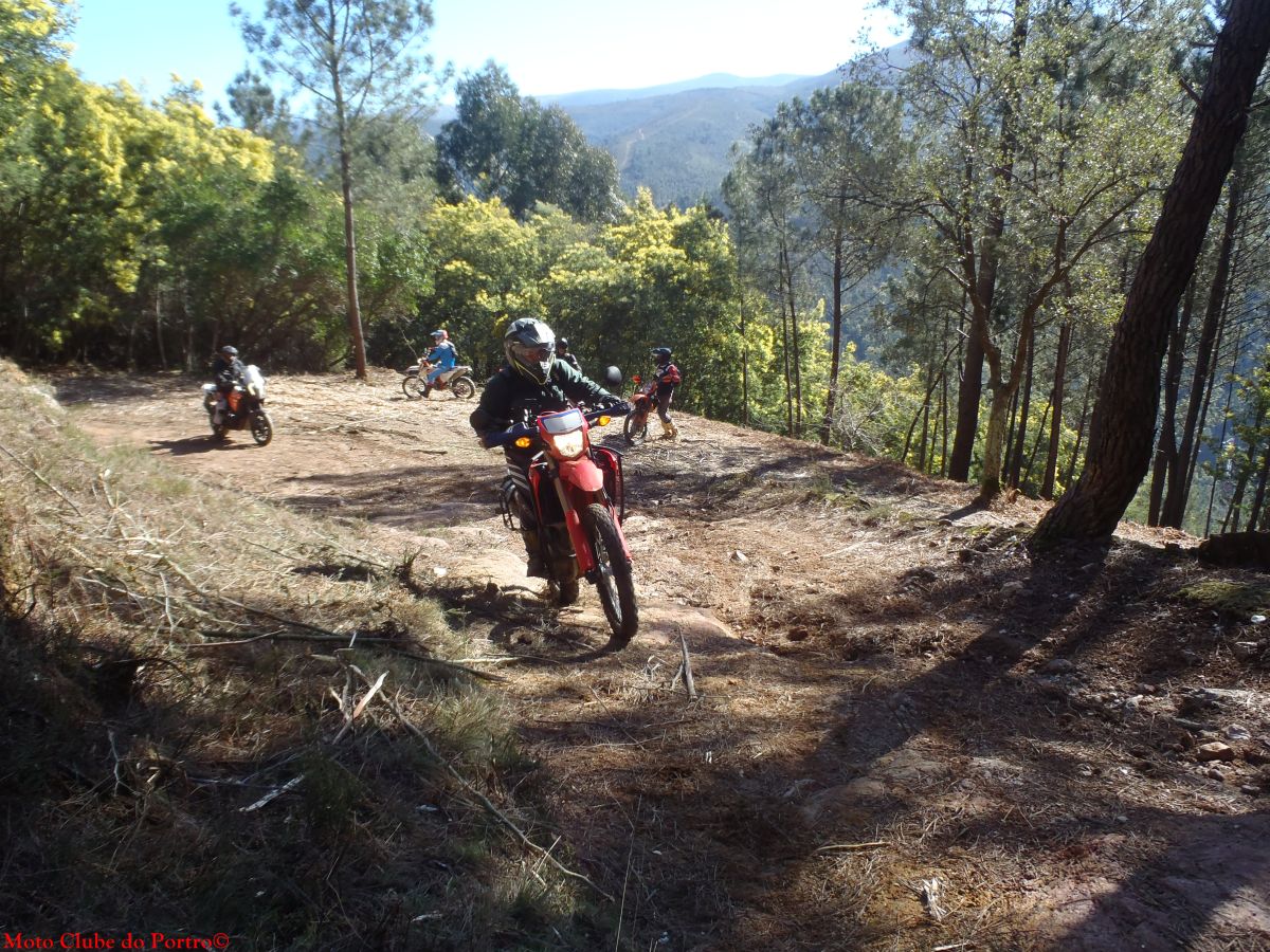 2026_03_01-MCP-Trails_de_Inverno-152
