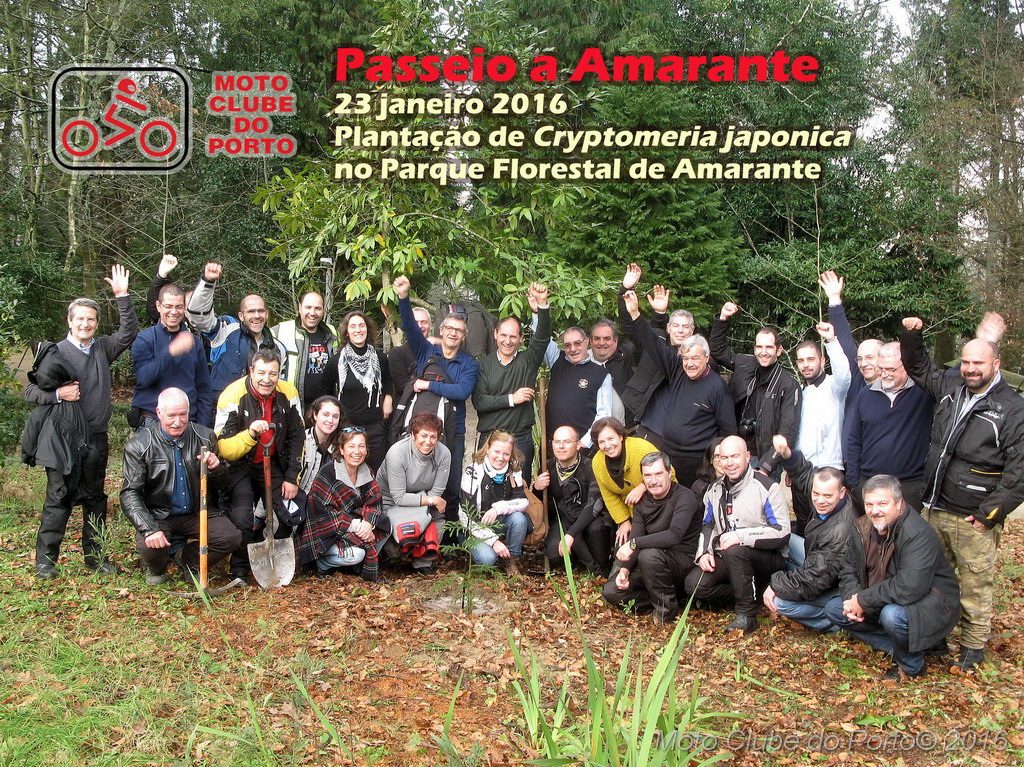 Passeio a Amarante MCP 2016