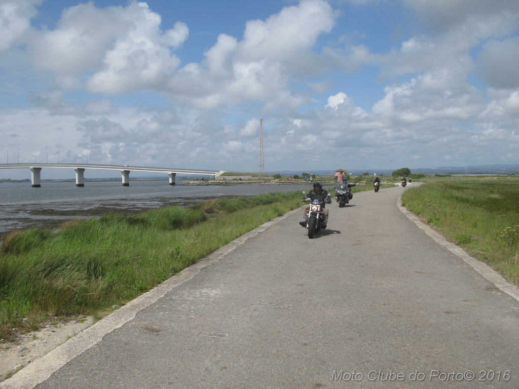 006_Passeio de Moliceiro na Murtosa MCP Antero 2016