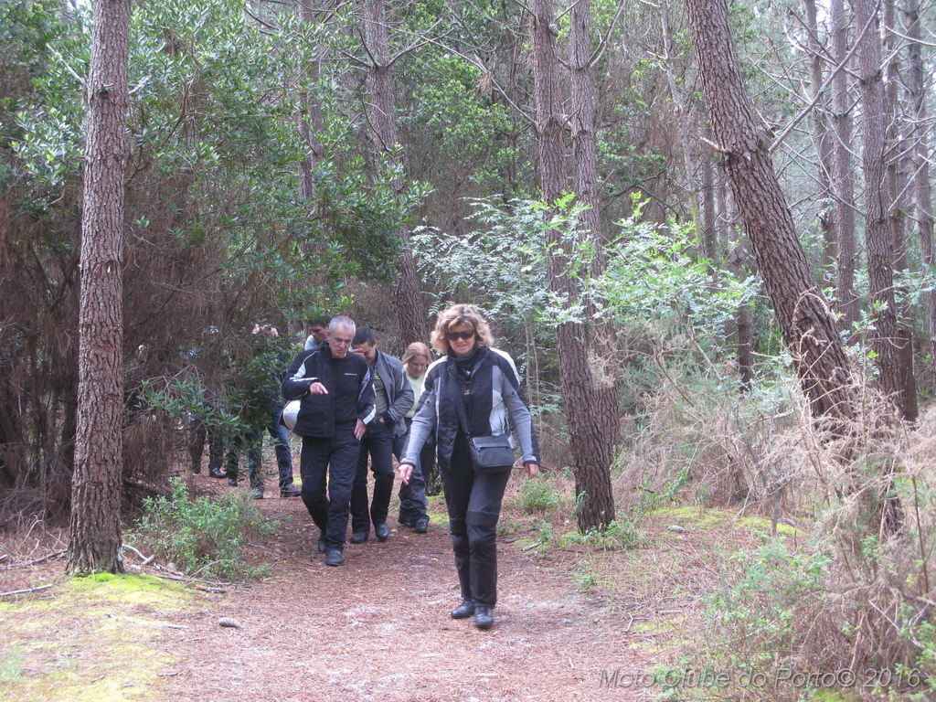 009_Passeio de Moliceiro na Murtosa MCP Antero 2016