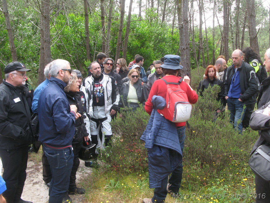 012_Passeio de Moliceiro na Murtosa MCP Antero 2016