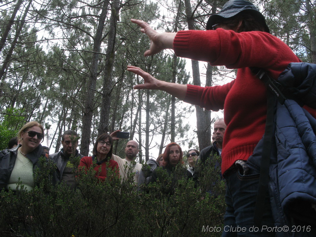 013_Passeio de Moliceiro na Murtosa MCP Antero 2016