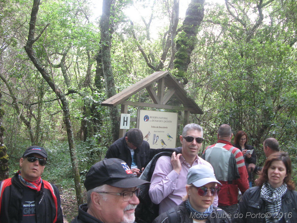 014_Passeio de Moliceiro na Murtosa MCP Antero 2016