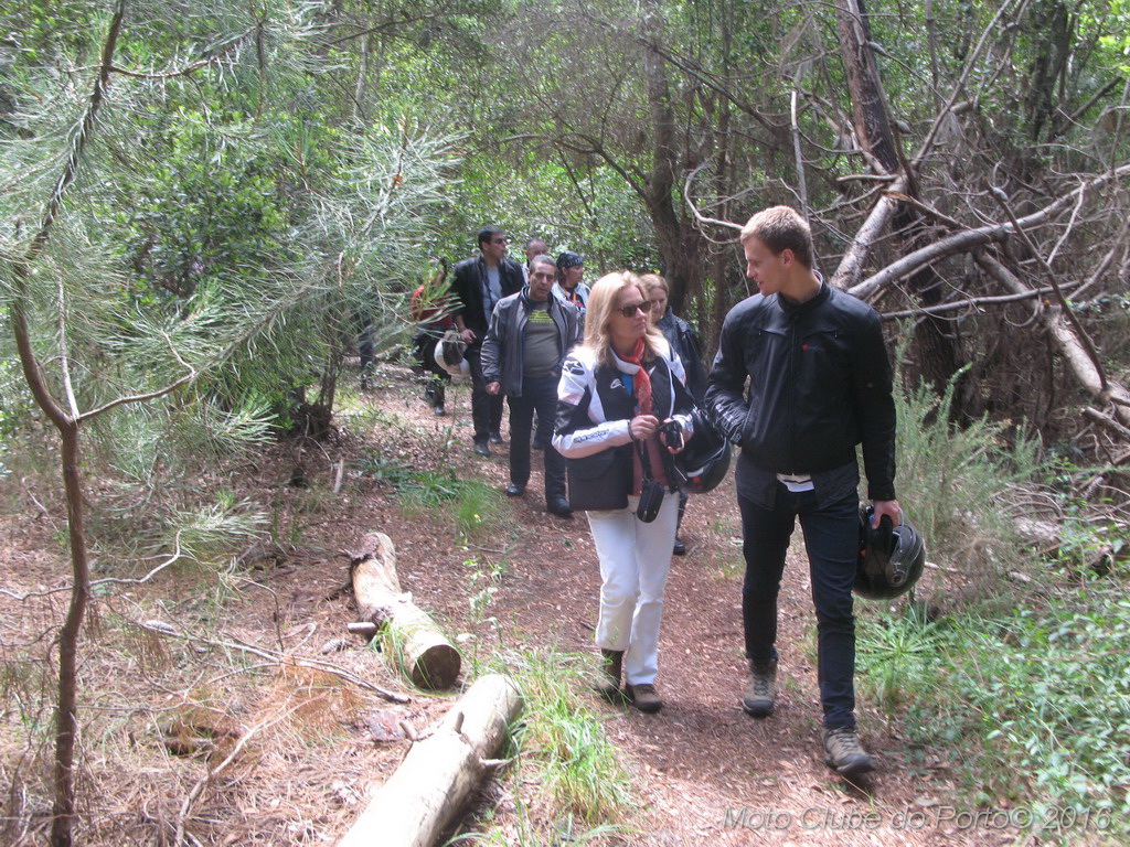 015_Passeio de Moliceiro na Murtosa MCP Antero 2016