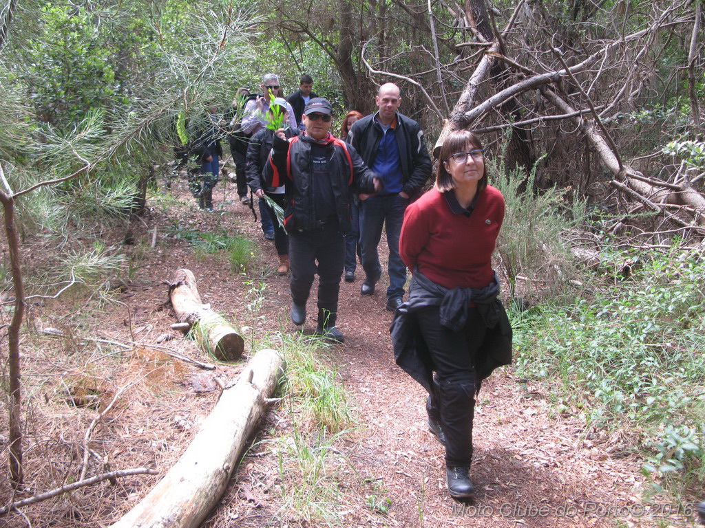 017_Passeio de Moliceiro na Murtosa MCP Antero 2016