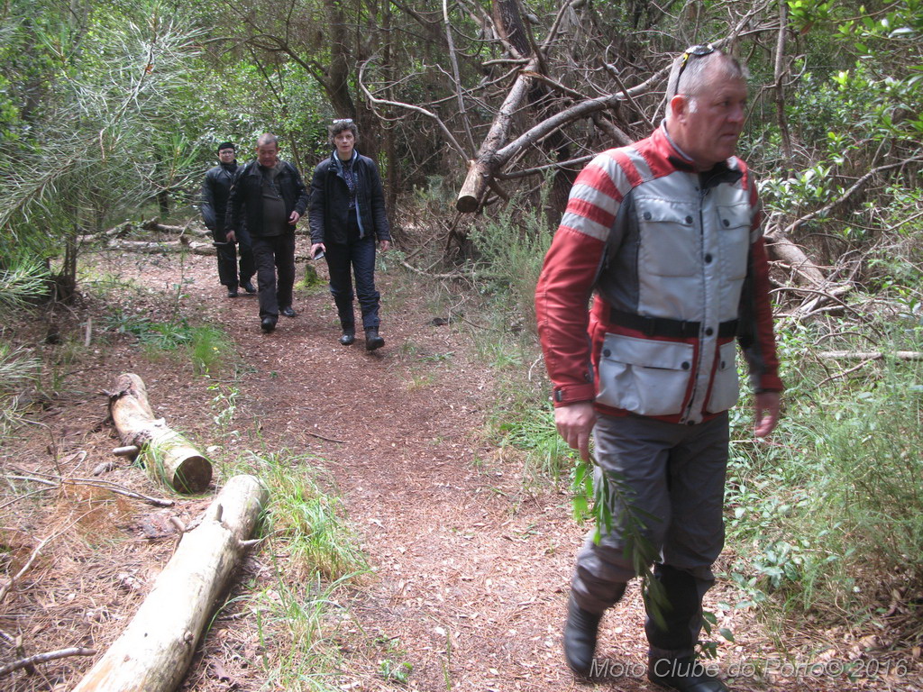 020_Passeio de Moliceiro na Murtosa MCP Antero 2016
