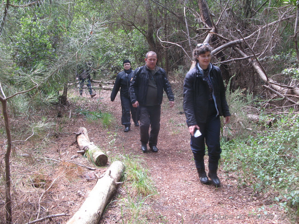 021_Passeio de Moliceiro na Murtosa MCP Antero 2016