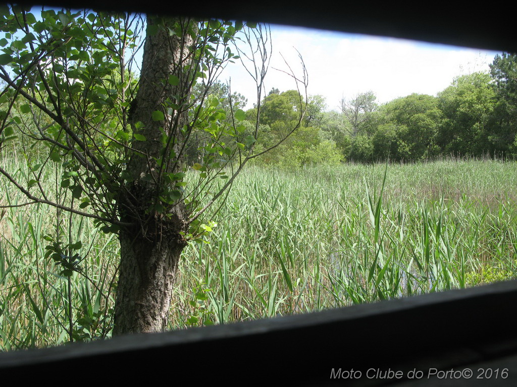 023_Passeio de Moliceiro na Murtosa MCP Antero 2016