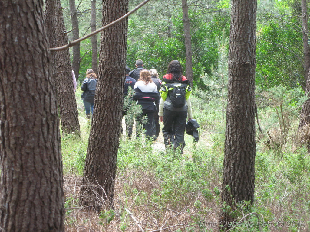 026_Passeio de Moliceiro na Murtosa MCP Antero 2016