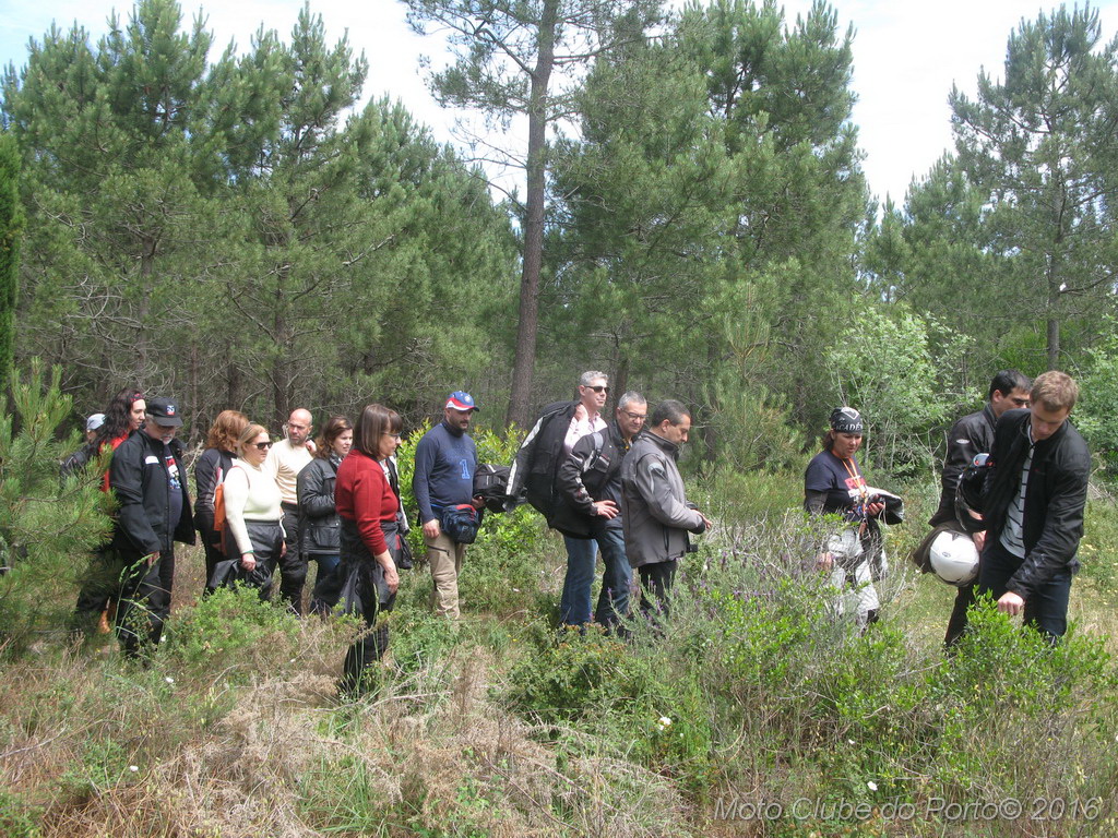 028_Passeio de Moliceiro na Murtosa MCP Antero 2016