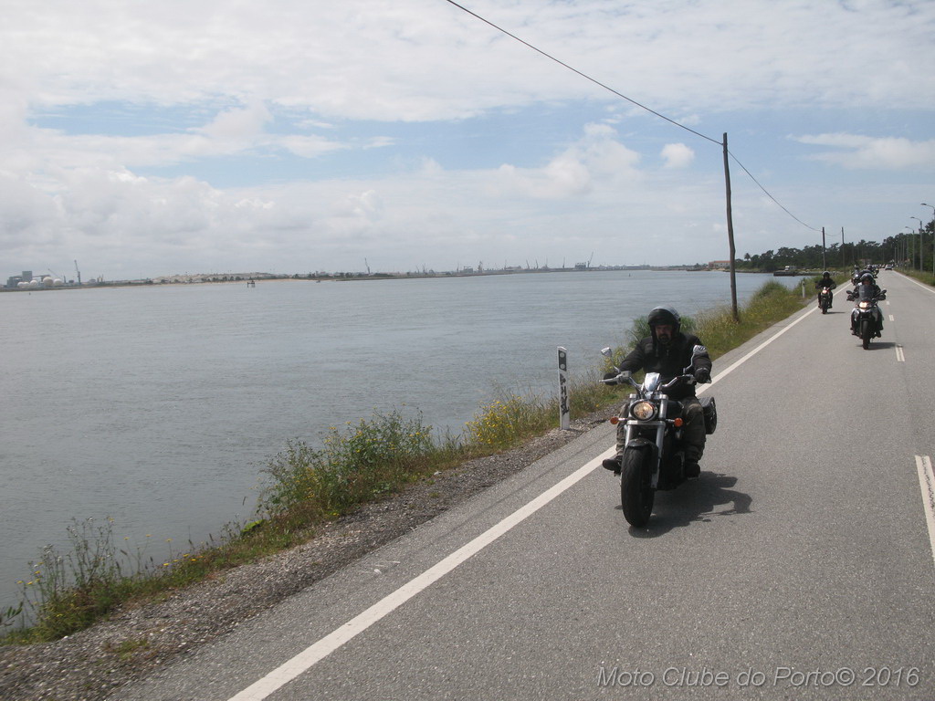 031_Passeio de Moliceiro na Murtosa MCP Antero 2016