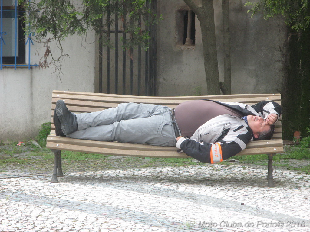 033_Passeio de Moliceiro na Murtosa MCP Antero 2016