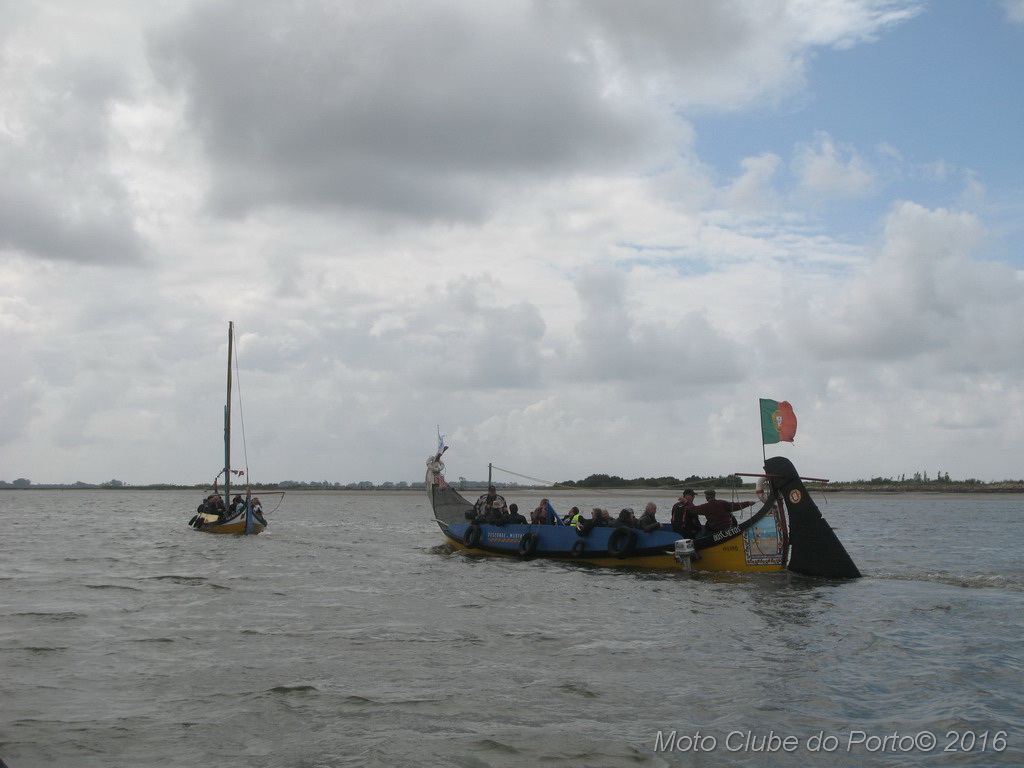 048_Passeio de Moliceiro na Murtosa MCP Antero 2016