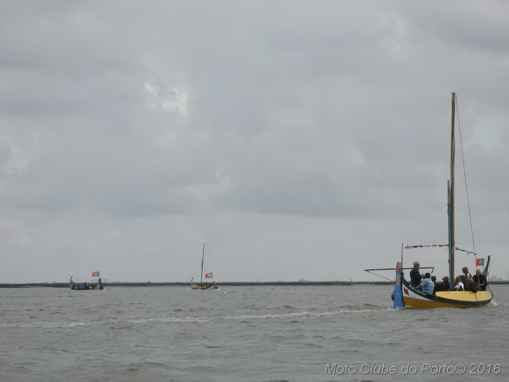 052_Passeio de Moliceiro na Murtosa MCP Antero 2016
