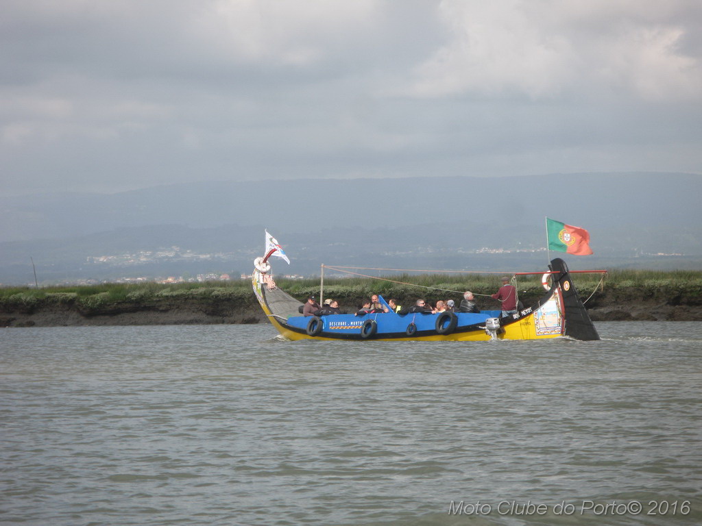 077_Passeio de Moliceiro na Murtosa MCP Antero 2016