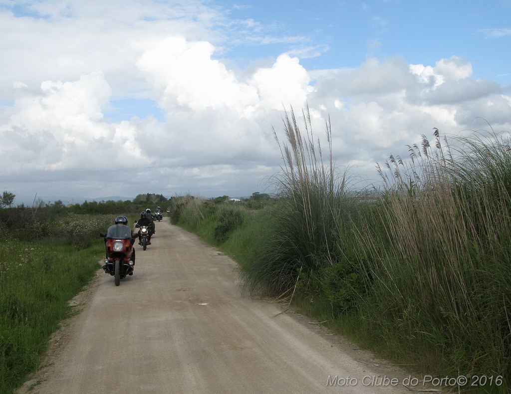 105_Passeio de Moliceiro na Murtosa MCP Antero 2016