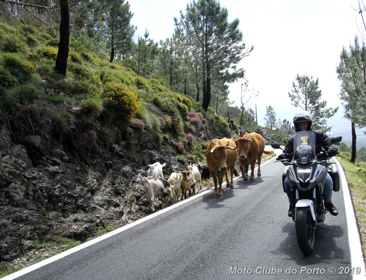 088-25MotoRali_MCP