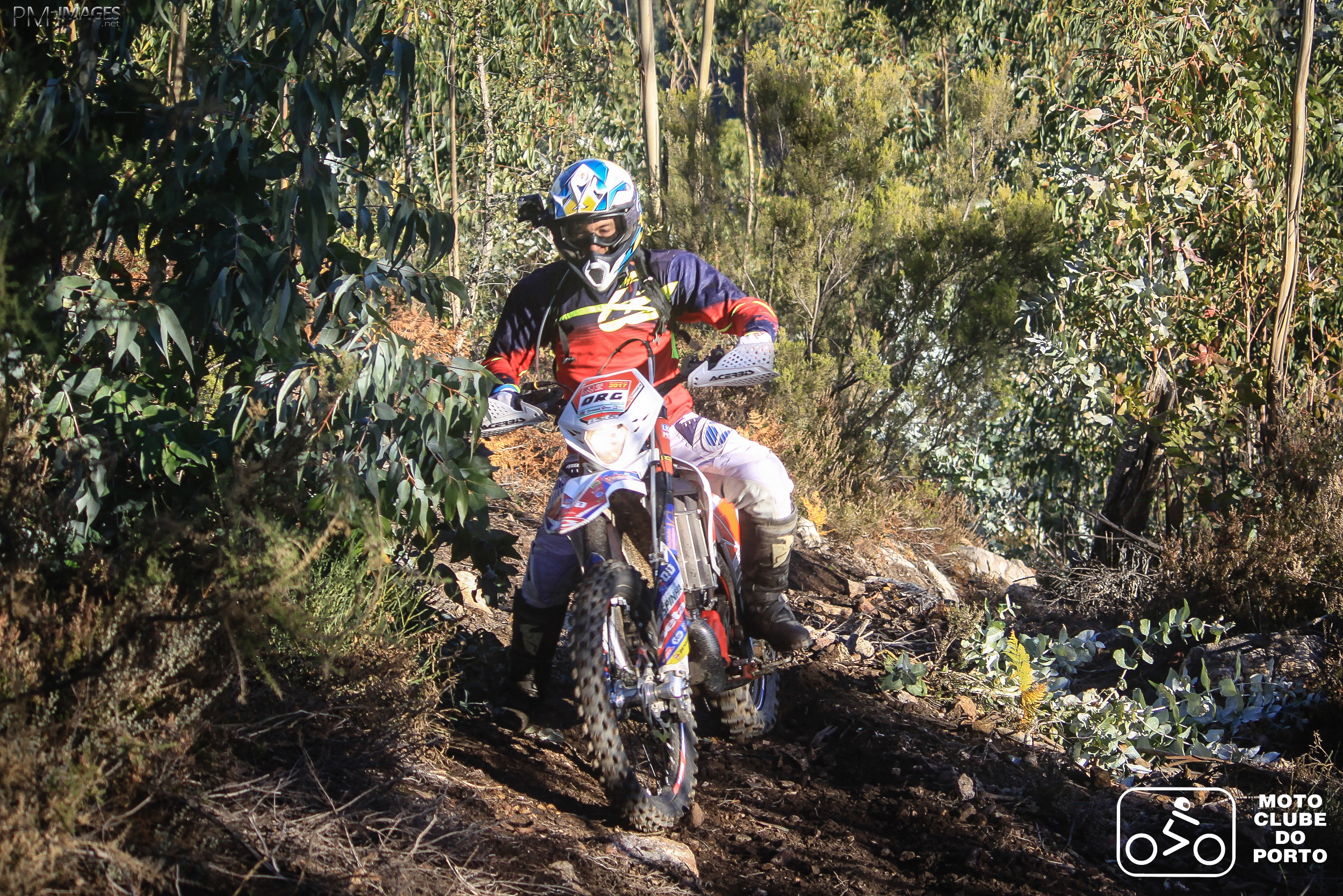 087_PasseioTT2017